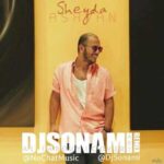 Ashvan Sheyda Remix DJ SONAMI